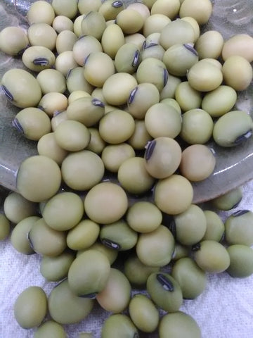 dry non-GMO Gokuwase Hayabusa Edamame soybean seeds