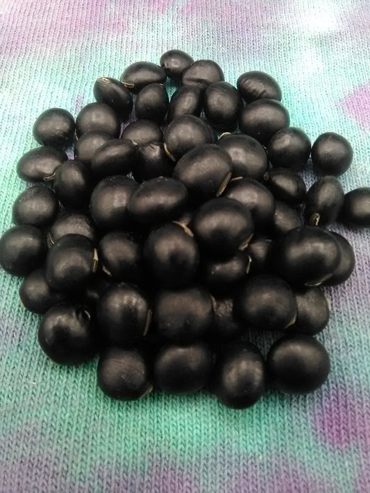 Wase Kuro Daizu Soybean