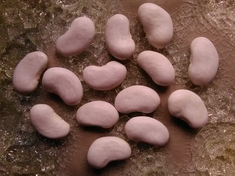 Fire Beans