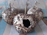 Three wonderfully warty, dried Bule Gourds - one intended as a natural birdhouse with its hole cut into its side