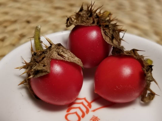 Litchi Tomato Garden Berry