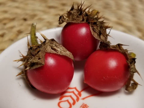 Litchi Tomato Garden Berry