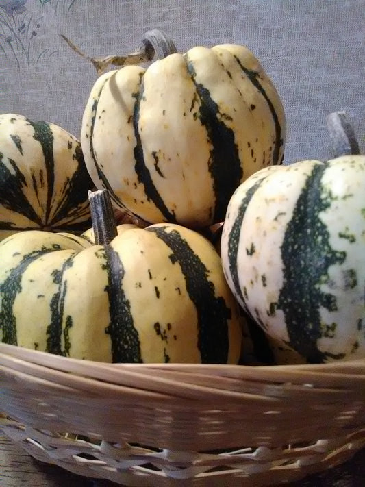 Sweet Dumpling Squash
